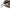 Plumb Korda Original Big Grippa, 8oz/224g