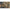 Plumb Texturat Korda Textured Distance Casting Swivel, 3oz/84g, 1buc/pac