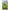 Plumbi Cu Schimbare Rapida Korum Finesse Quick Change Olivettes, 2g, 6buc/pac