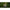 Pluta Preston Precision Pellet Wagglers, 8g, 1buc/pac