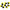 Pop Up - Zig Rig -eva 12mm - Yellow Black - 9 Buc