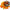Pop-up Fish Pro Duo, Orange Yellow, Cioco Porto, 10mm, 35buc