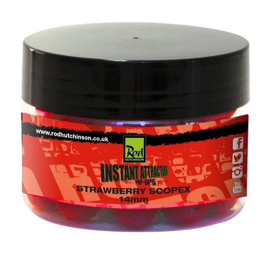 PopUp Rod Hutchinson Tigernut Spice Fluoro 15mm