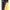 Porumb Flotant Fox Edges Essentials Pop Up Yellow Corn, Large