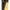 Porumb Flotant Fox Edges Essentials Pop Up Yellow Corn, Standard
