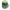 Porumb Zebco Trophy Sugar Mais Green Mussel 125gr
