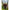 Prastie Nadire Korum Allrounder Groundbait Catapult