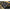 Prastie Nadire Korum Allrounder Groundbait Catapult