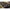 Prastie Nadire Korum Allrounder Particle Catapult
