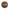 Prosecto Insectivorous Haiths
