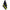 Prosop Feeder Bait Black Yellow