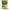 Pufuleti Carp Zoom Pufi-x Floating Corn Bait Mini, Cream, Vanilla, 25g