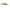 RAPTURE WIGGLER SHAD MAX F 6.5cm 7g P