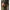 Rezerva Plasa Minciog Fox Camo Landing Net Mesh 46