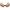 Rapala Sportsman s sunglass rvg-001b