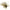 Rapture Tungsten Finesse Rub Jig 3.5g Green Pumpkin