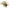 Rapture Tungsten Finesse Rub Jig 3.5g Green Pumpkin