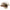 Rapture Tungsten Finesse Rub Jig 3.5g Pumpkin