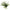 Rapture Tungsten Finesse Rub Jig 3.5g Watermelon
