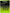 Rig Crap W-Rigs Prowess Ronnie Spinner Rig Nr.6, 3buc/plic