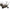 Roaba Avid Transit Tri-terrain Barrow
