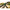 Rod Pod Balistic 2.0, Negru / Turcoaz