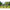 Rod Pod Balistic 2.0, Negru / Turcoaz