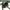 Rod Pod Carp Academy Flexi New, 75-120cm