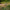 Rod Pod Carp Academy River, 100-180cm