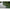 Rod Pod Carp Addict Mack2 Pentru Barca 3 Posturi