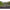 Rod Pod Carp Spirit Base Inox 300