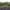 Rod Pod Carp Spirit Base Inox 300