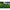 Rod Pod Korum Deluxe 3 Rod Tripod, 3 Posturi