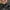 Rodpod Avid Extremity Pod 3 Post, 140-215x126.5x 87-167cm