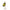 Rotativa Dam Effzett Standard Blacky  Yellow 10gr