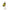 Rotativa DAM Effzett Standard Blacky  Yellow 10gr