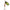 Rotativa DAM Effzett Standard Nr.1, Black Yellow, 3g