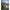 Rubesiana Matrix Torque Carp Power Pole, 6m
