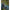 Rubesiana Matrix Torque Carp Power Pole, 6m
