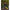 Rubesiana Matrix Torque Carp Power Pole, 6m