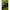Rubesiana Matrix Torque Carp Power Pole, 6m