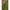 Rubesiana Matrix Torque Carp Power Pole, 6m