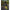 Rubesiana Matrix Torque Carp Power Pole Package 10m