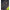 Rubesiana Matrix Torque Carp Power Pole Package 10m