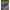 Rubesiana Matrix Torque Carp Power Pole Package 8.5m