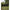 Rucsac Korda Compac Rucksack 30 Dark Kamo, 36x44x30cm, 30ltr