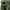 Rucsac Ngt Xpr Green Cu Multicompartimente 50.5l