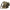 Rucsac Starbaits Cam Concept Flap Ruck Sack, 50x30x39cm