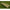 SAC DE DORMIT NASH H-GUN SLEEPING BAG