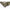 Saltea De Cantarire K-karp Presage Weighsling